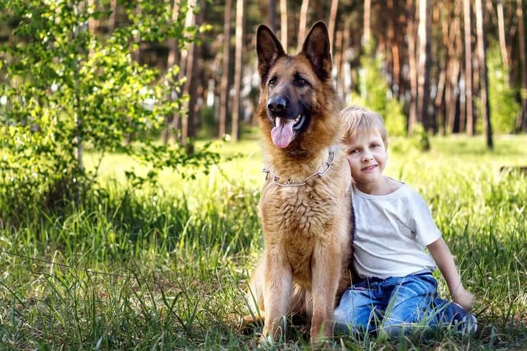 Reinkarnacja zwierząt: tajemnice dusz i ich kulturowe znaczenie